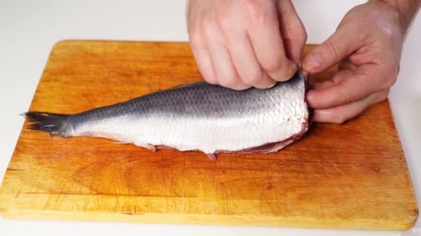 Salted herring cleaned of skin, entrails and bones. — Stock Footage Salted herring cleaned of skin, entrails and bones. Video Clip