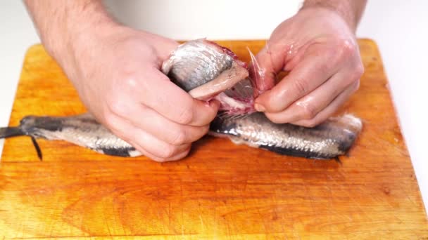 Salted herring cleaned of skin, entrails and bones. — Stock Footage Salted herring cleaned of skin, entrails and bones. Video Clip