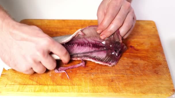 Salted herring cleaned of skin, entrails and bones. — Stock Footage Salted herring cleaned of skin, entrails and bones. Royalty Free Stock Video