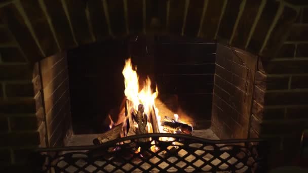 Дрова горят в камине. теплые уютные вечера в загородном доме. — стоковое видео