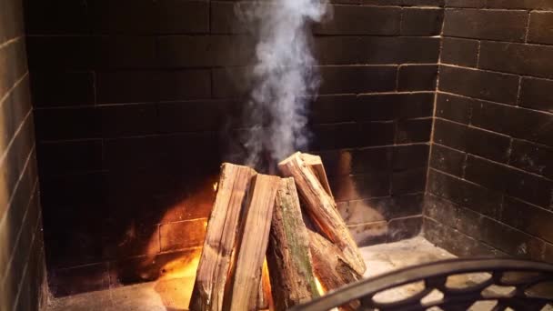 Leña está encendida en la chimenea. cálidas y acogedoras noches en una casa de campo. — Vídeo de stock