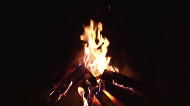 Quemadura de madera en la chimenea. cálidas y acogedoras noches en una casa de campo. — Vídeo de stock