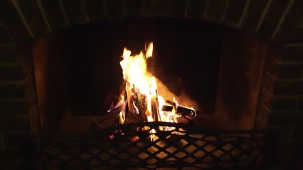 Quemadura de madera en la chimenea. cálidas y acogedoras noches en una casa de campo. — Vídeo de stock