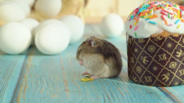 Il topo mangia il grano e una torta di Easter su tavolo di legno turchese. trattamento tradizionale — Video Stock