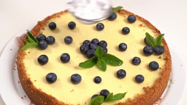 Pastel de queso hecho en casa decoración de la mano con azúcar en polvo, arándanos y menta. — Vídeo de stock