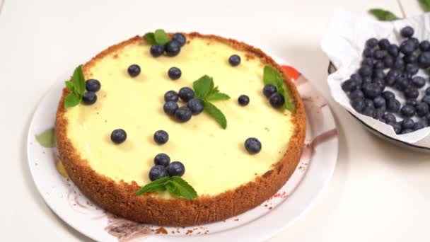 Yaban mersini ve nane yapraklarıyla dekore eden el yapımı cheesecake.. — Stok video
