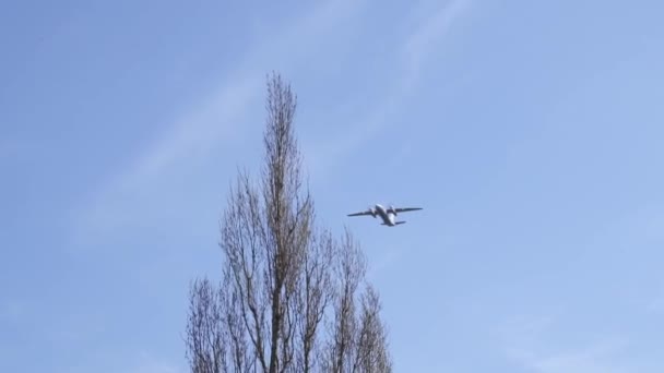 蓝天中的军用飞机在树上盘旋。航展. — 图库视频影像