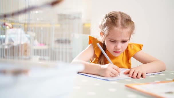 Educación familiar y a distancia. Una colegiala hace los deberes y se molesta. — Vídeos de Stock