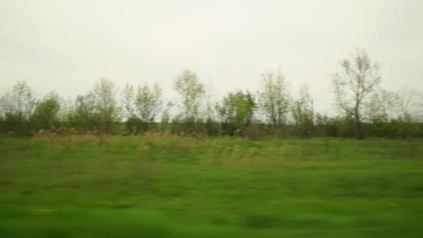 Зеленые Весенние Поля Редкие Деревья Облачную Погоду Окна Автомобиля Hitchhiking — стоковое видео