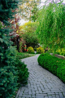 Bahçedeki ya da parktaki patika. Bahçe düzenleme. Doğada yürür. Tatil, meditasyon ve huzur. Bahçıvan ve peyzaj tasarımcısı.