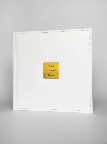 Wit Boek Lederen Band Met Een Gouden Metalen Inzetstuk Met — Stockfoto
