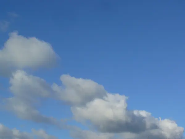 Awan berbulu putih di langit biru — Stok Foto