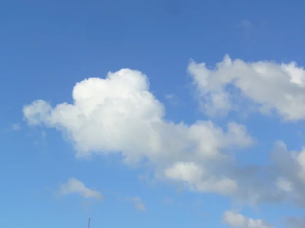 Awan berbulu putih di langit biru — Stok Foto