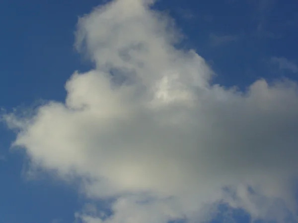 Awan berbulu putih di langit biru — Stok Foto