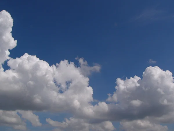 Awan berbulu putih di langit biru — Stok Foto