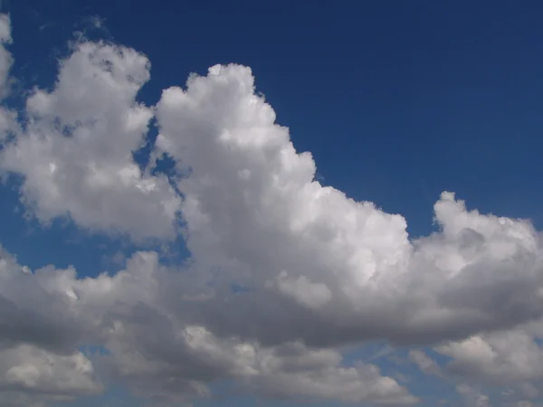 Awan berbulu putih di langit biru — Stok Foto