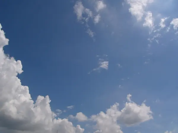 Awan berbulu putih di langit biru — Stok Foto