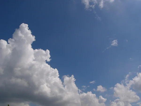 Awan berbulu putih di langit biru — Stok Foto