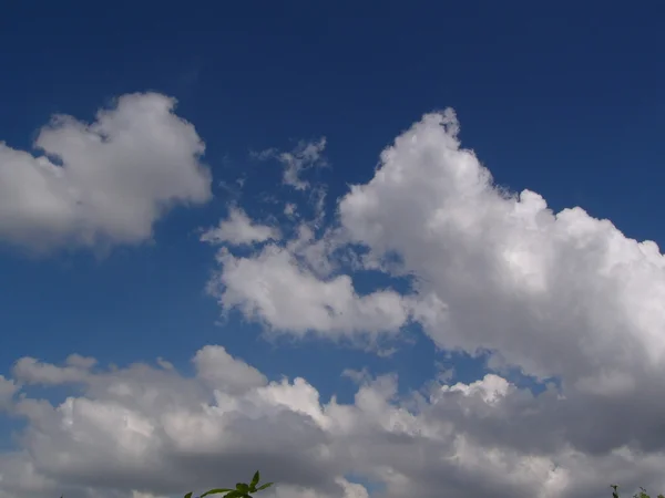 Awan berbulu putih di langit biru — Stok Foto