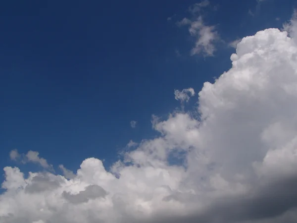 Awan berbulu putih di langit biru — Stok Foto