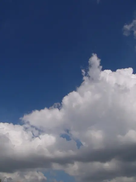 Awan berbulu putih di langit biru — Stok Foto