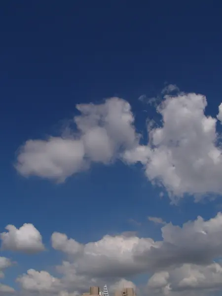 Awan berbulu putih di langit biru — Stok Foto