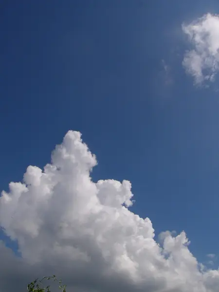 Awan berbulu putih di langit biru — Stok Foto