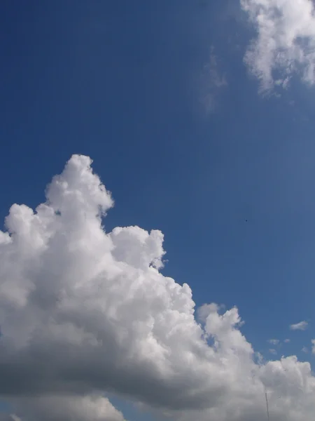 Awan berbulu putih di langit biru — Stok Foto