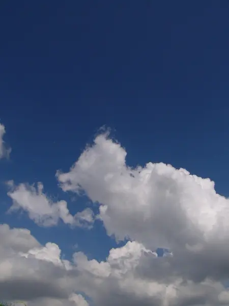 Awan berbulu putih di langit biru — Stok Foto