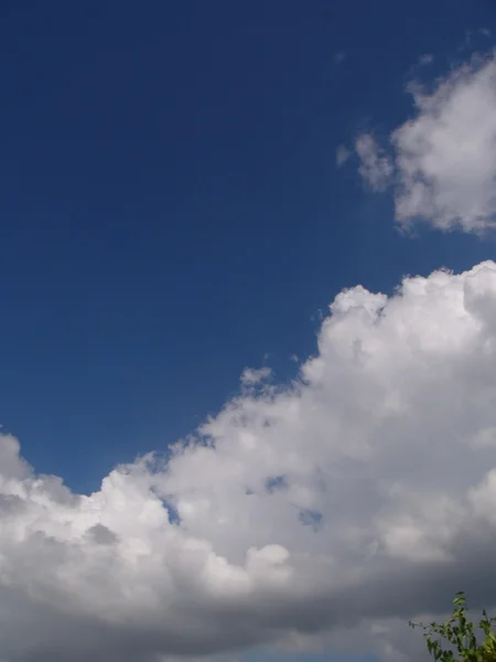 Awan berbulu putih di langit biru — Stok Foto