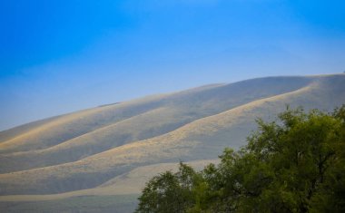 Yazın Alçak Dağlar