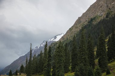 Yüksek kayalık dağlar