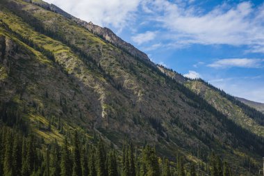  Ağaçlı dağ manzarası