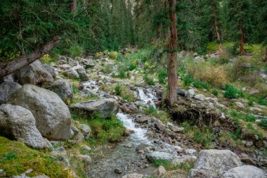 Küçük dağ deresi.