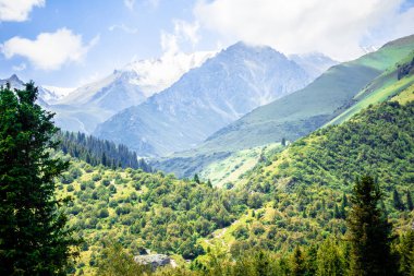 Güzel Dağ Doğası