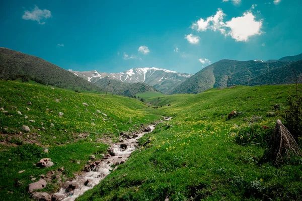 Paisagem Montanha Primavera — Fotografia de Stock