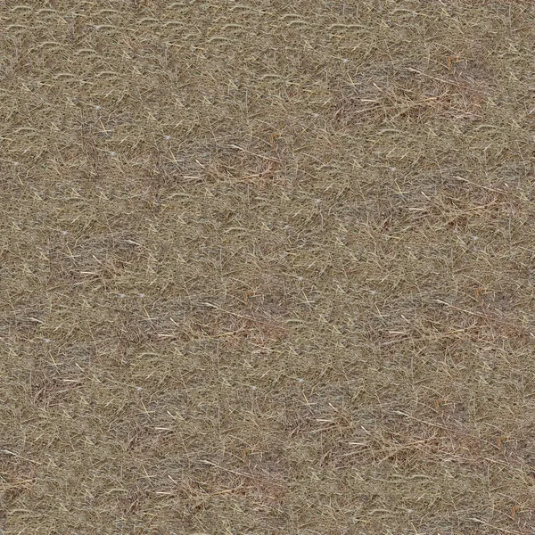 Текстура Сухой Травы — стоковое фото