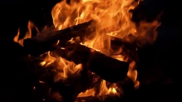Bois Chauffage Brûlant Dans Feu — Video
