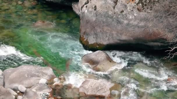 Rio Glacial Flui Através Pedras Montanha — Vídeo de Stock