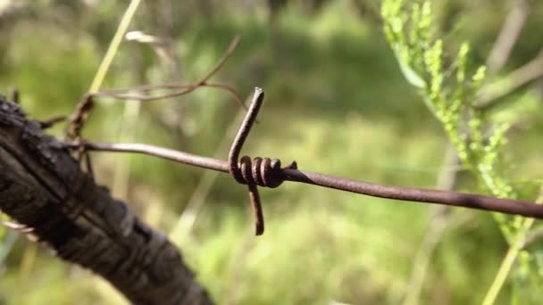 Fil Barbelé Sur Clôture — Video