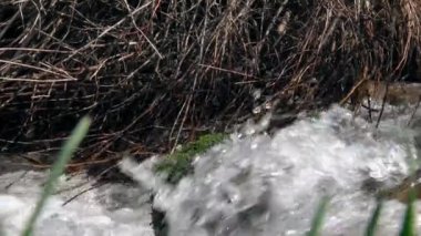 Baharın Başındaki Dağ Akıntısı