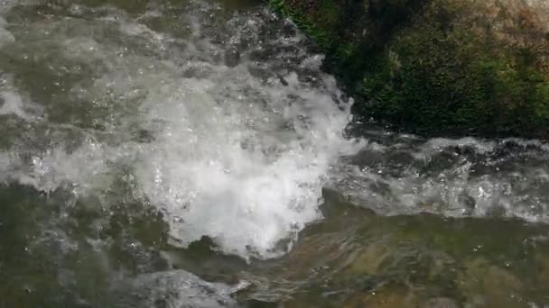 Szybki Dopływ Rzeki Pobliżu Kamienia — Wideo stockowe