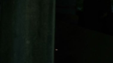  Küçük Böcekler Karmaşık Uçar