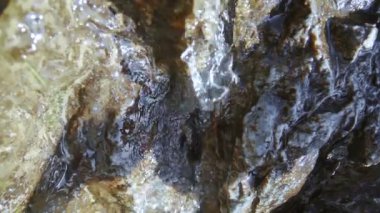 Küçük bir buzul deresi taşın üzerinden akıyor.