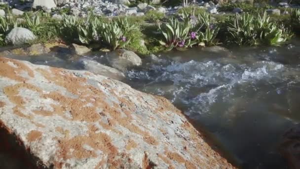 Woda Lodowcowa Płynie Potoku Wysoko Górach — Wideo stockowe