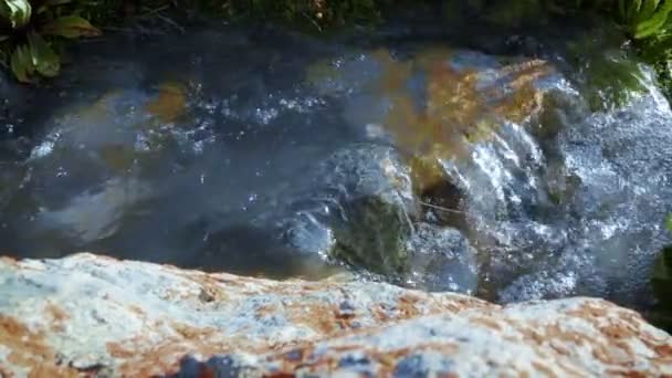 Água Glacial Flui Riacho Alto Nas Montanhas — Vídeo de Stock