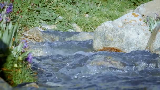 Água Glacial Flui Riacho Alto Nas Montanhas — Vídeo de Stock