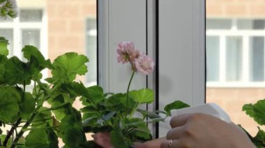 Çiçeklerle ilgilenen kız.