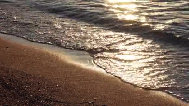 日落时的沙滩 — 图库视频影像