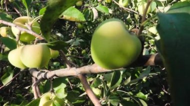 Döngülü cam arkaplan